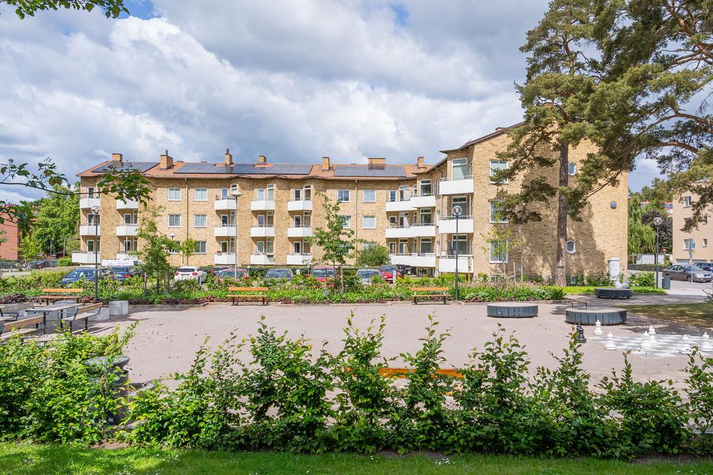 Sociala gemensamma ytor på gården