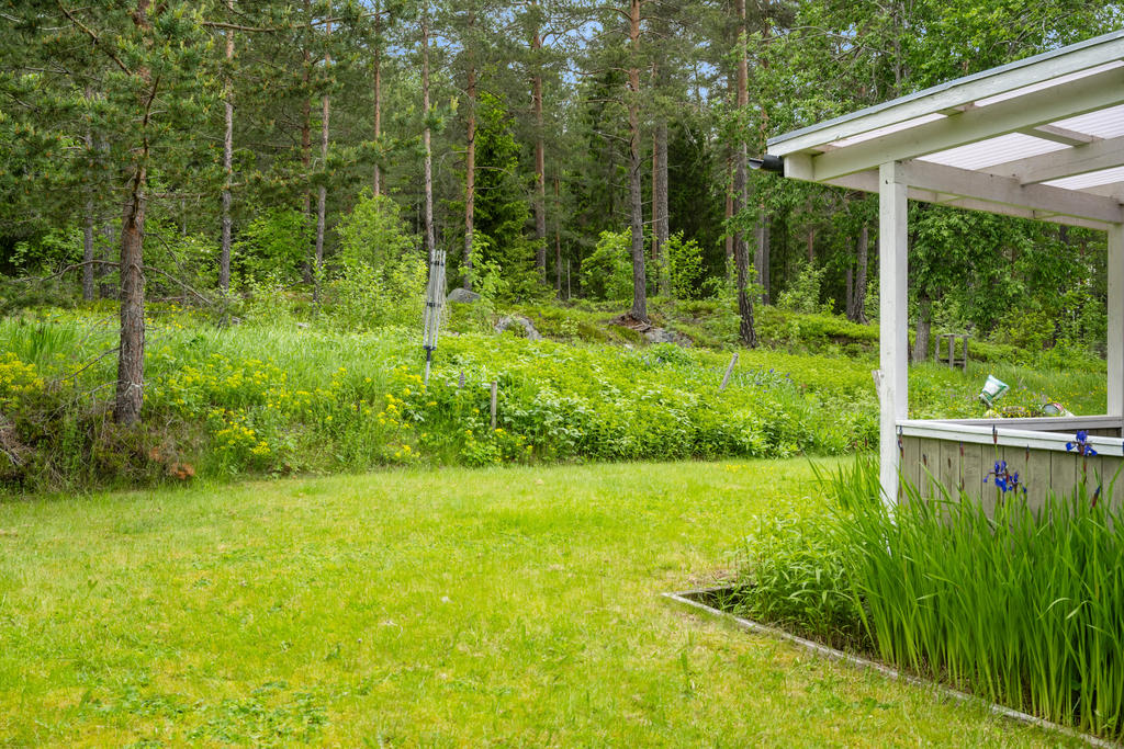 Trädgård
