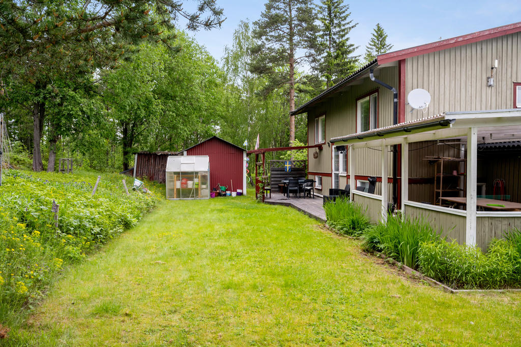 Trädgård