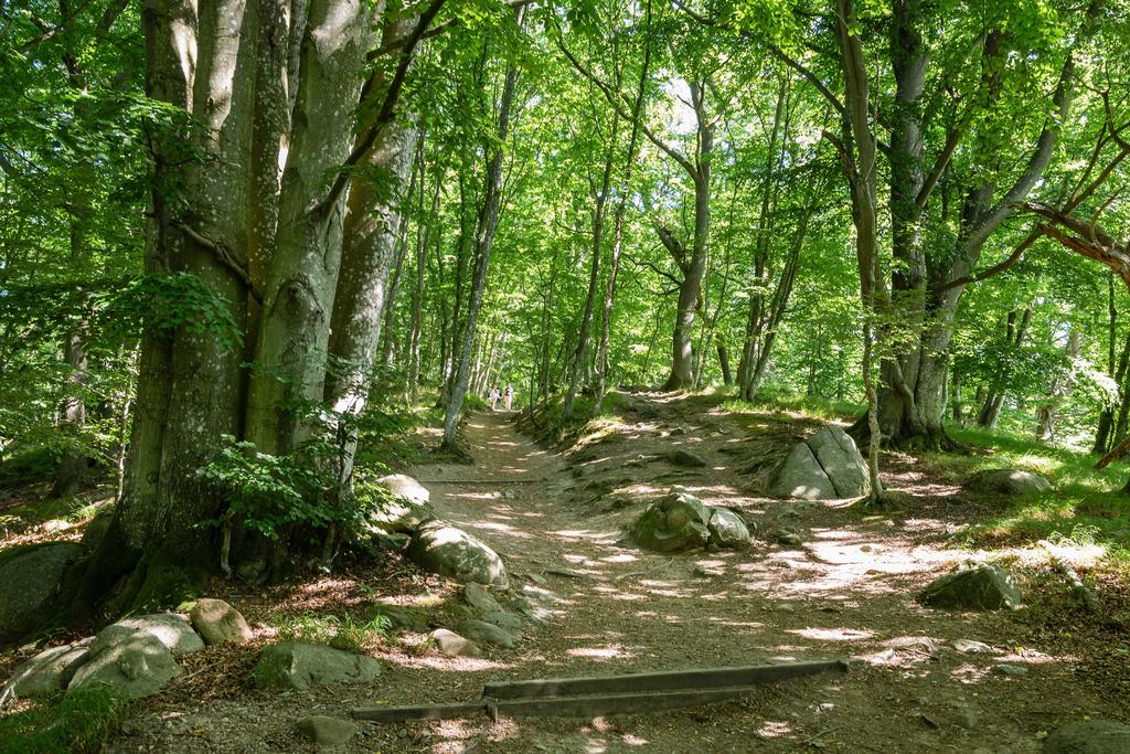 Stenshuvuds nationalpark