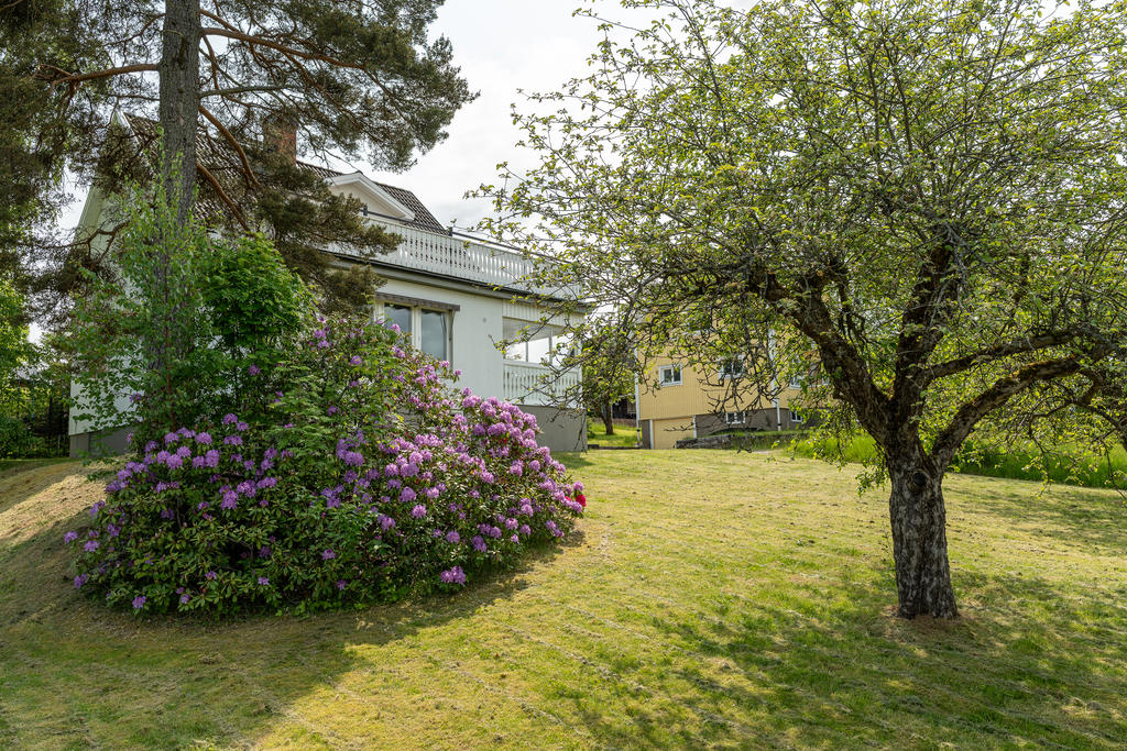 Trädgården med huset i bakgrunden