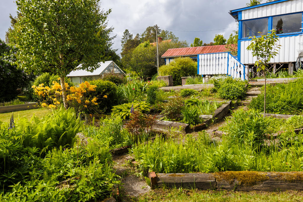 Uppväxt trädgård