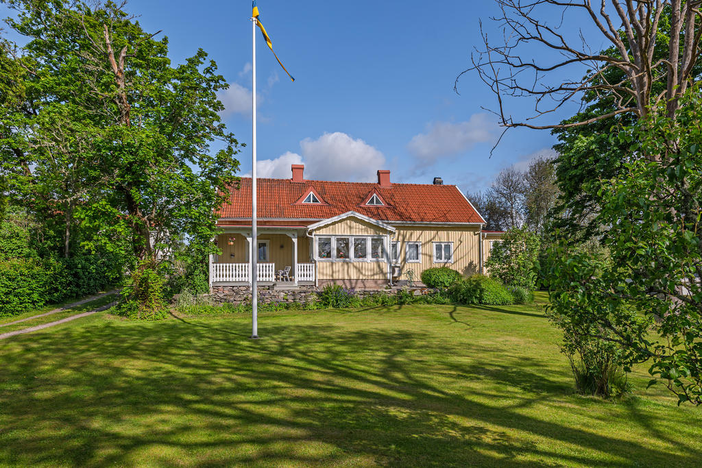 Fantastisk trädgård