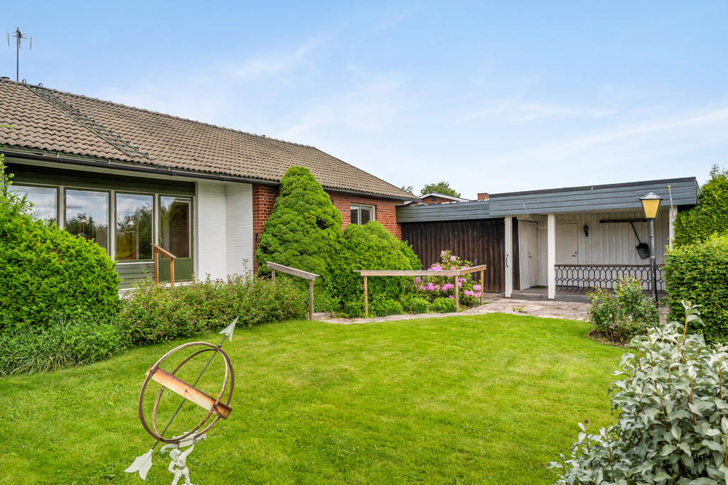 Trädgård