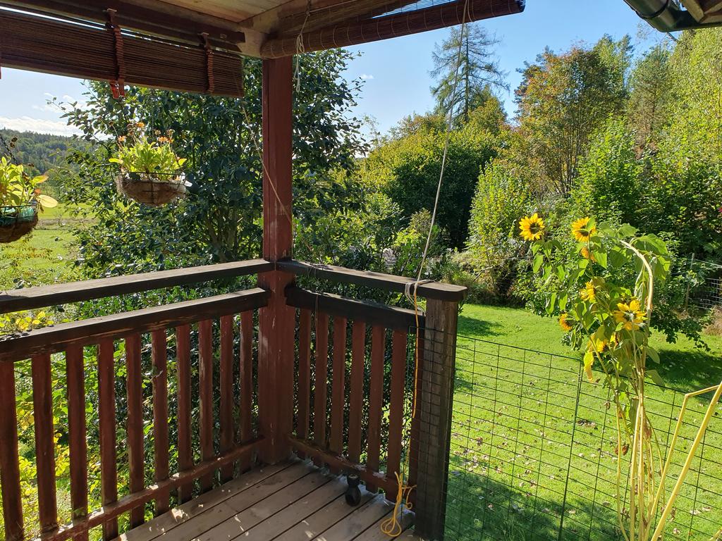 Säljarens egna bilder