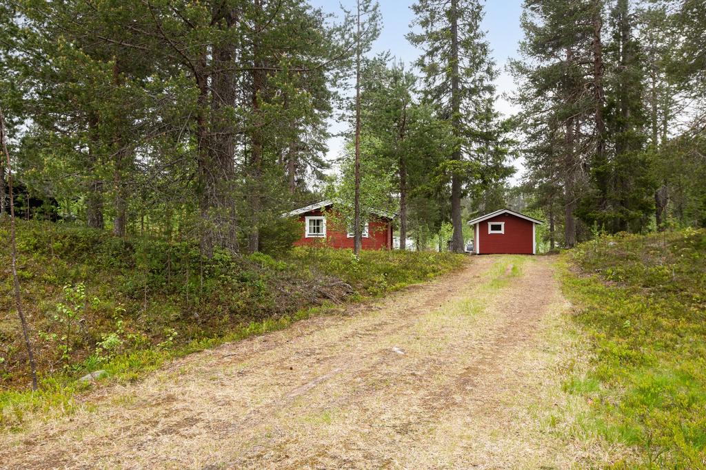 Exteriör