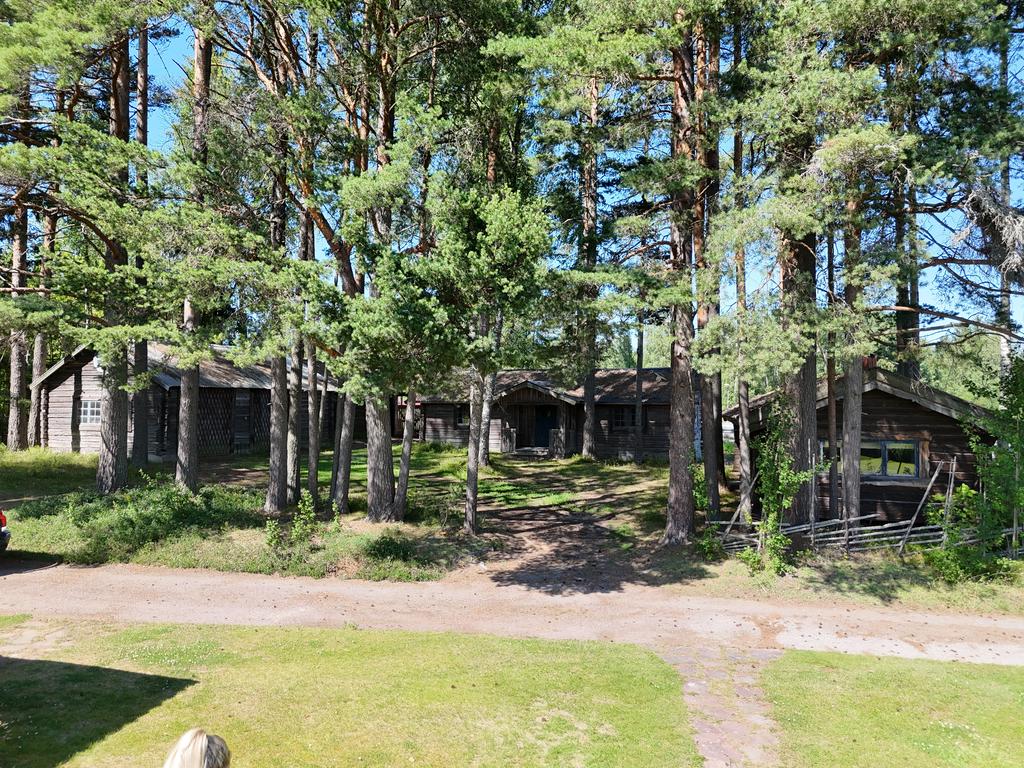 Timmerbyggnader på tomten