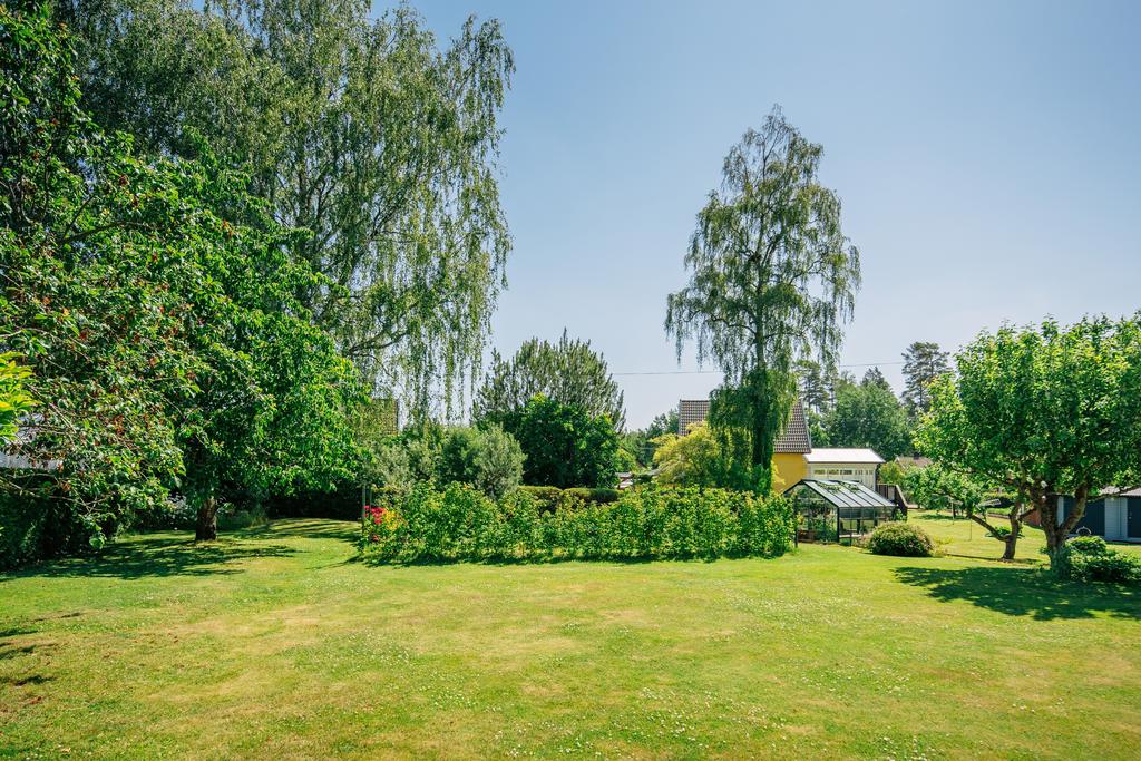 Trädgård baksida
