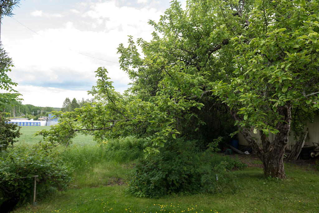 Baksida.
