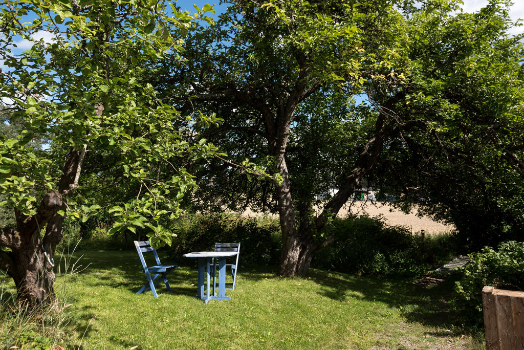 Trädgård.