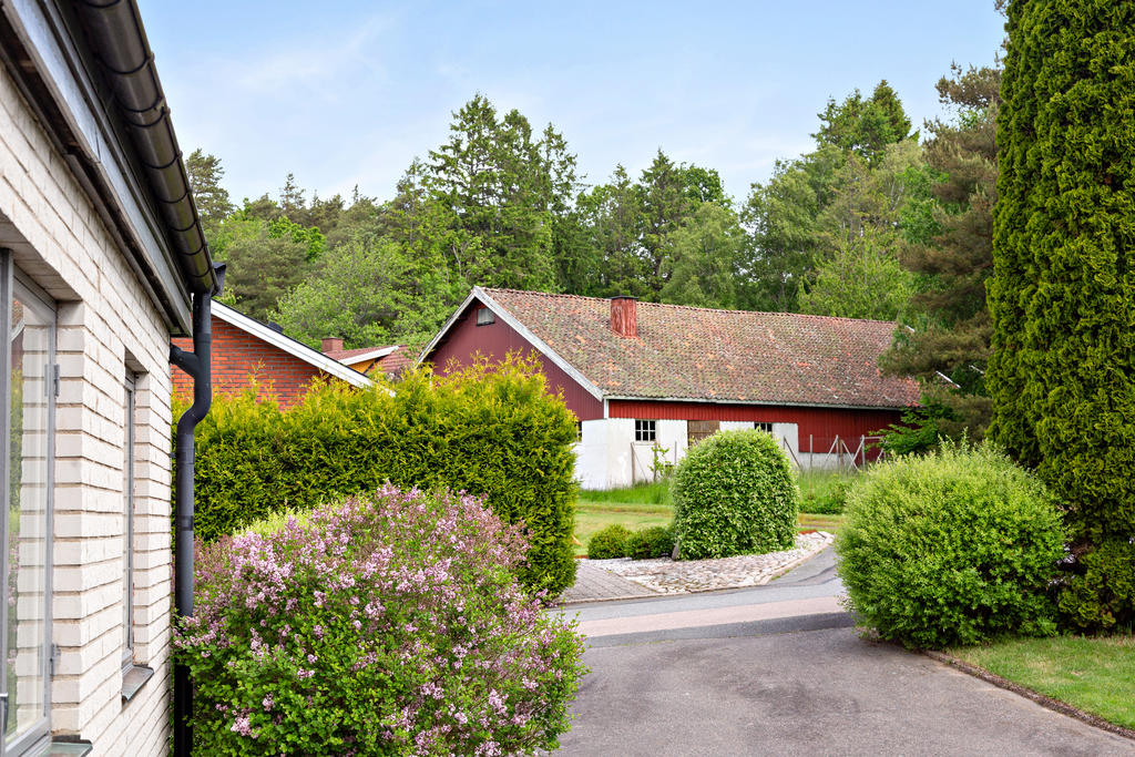 Grönskande uppfart 