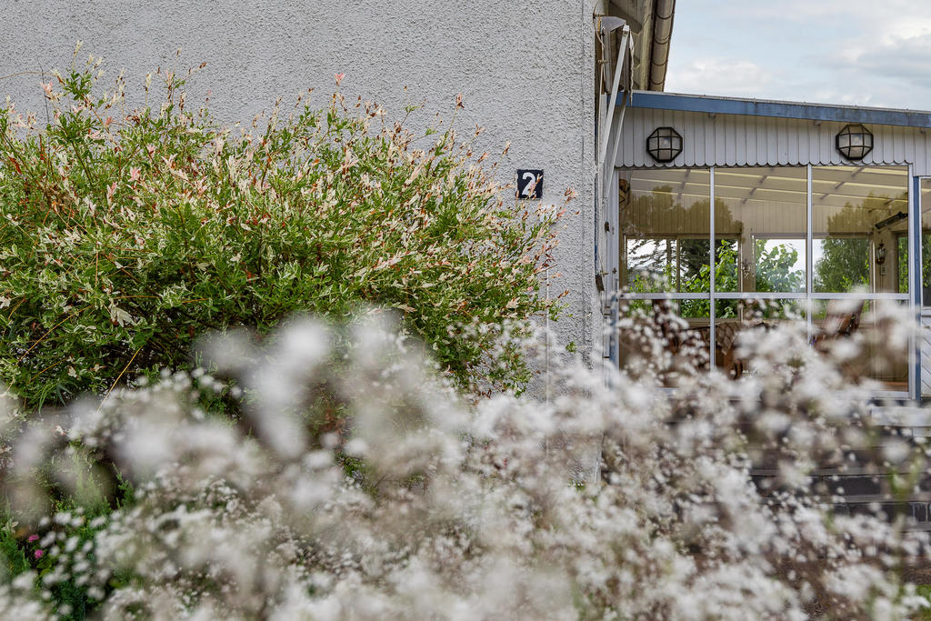 Trädgården blomstrar av buskar, träd & vackra blommor