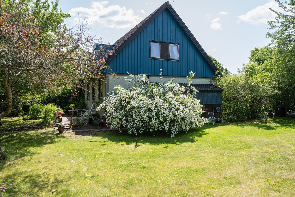 En otrolig praktdeutzia