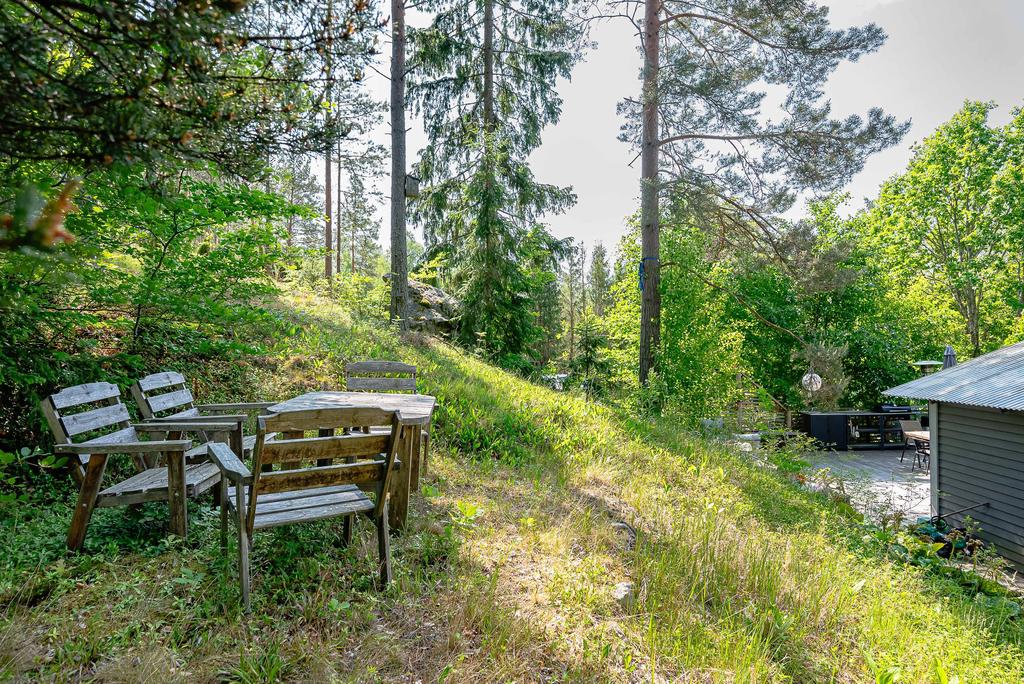 Härlig skogstomt med både bär och svamp