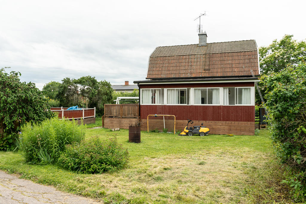 Trädgård
