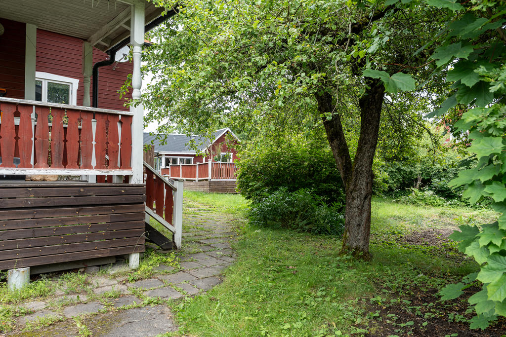 Trädgård