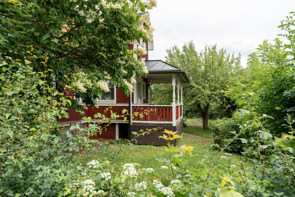 Trädgård