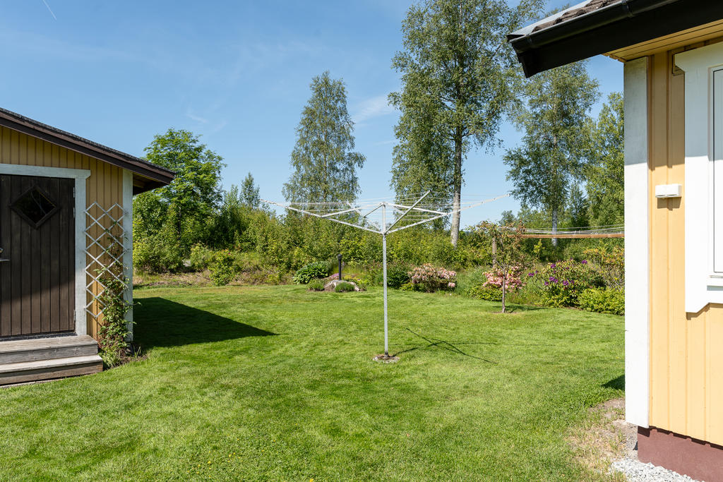 Trädgården