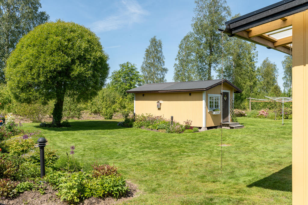 Trädgården