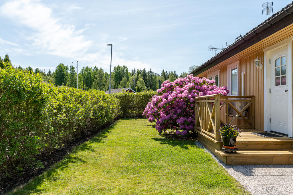 Trädgården