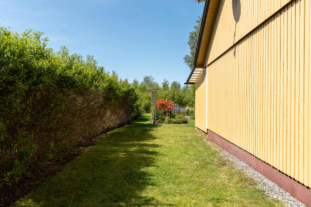 Trädgården