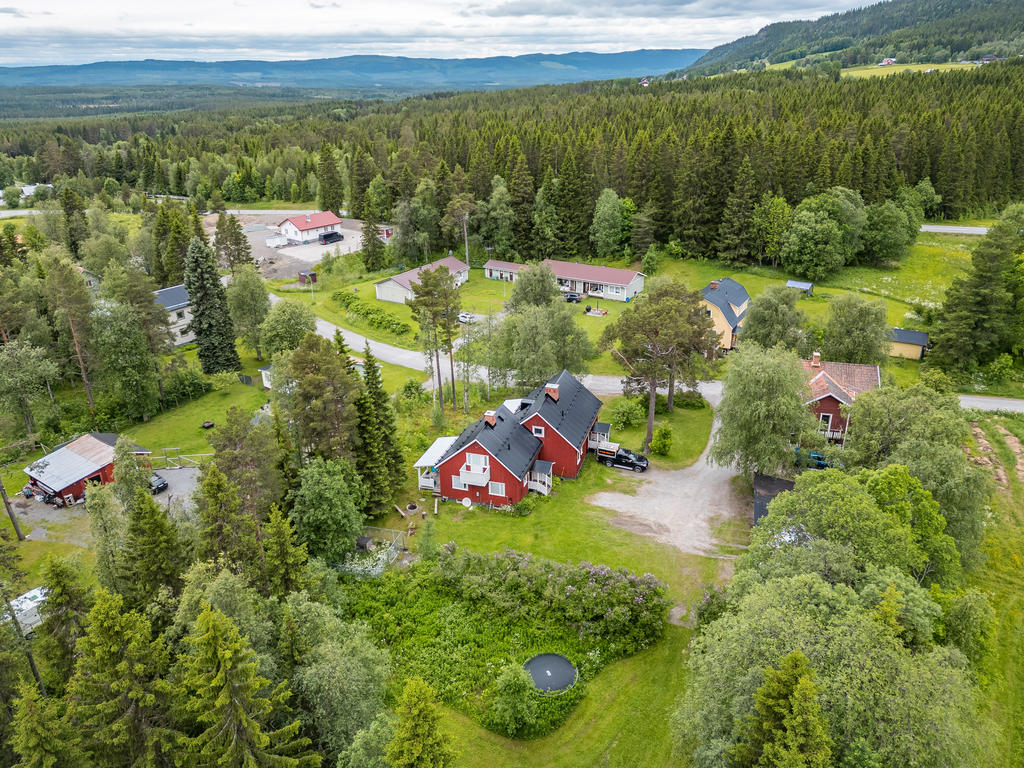 Vacker natur i omgivningarna!