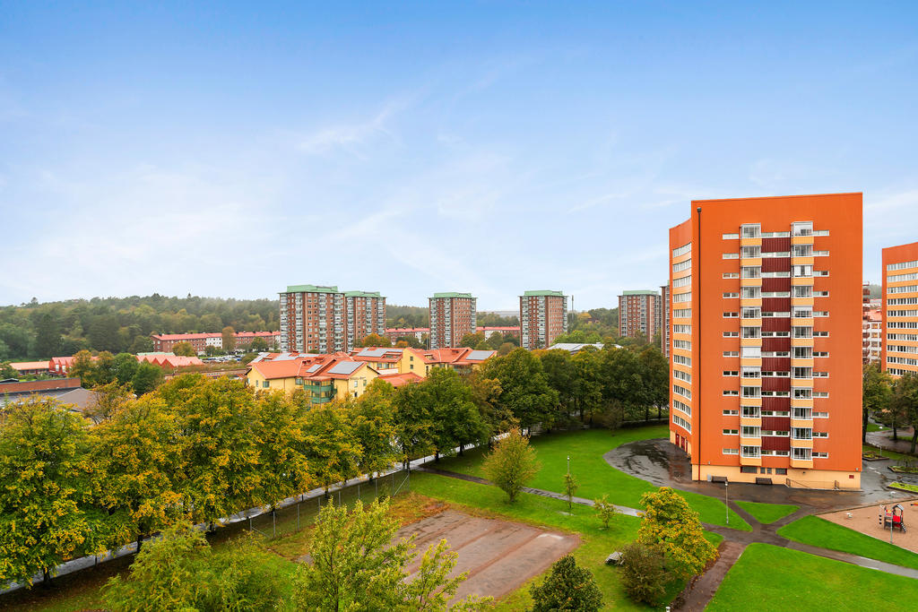 Utsikten över föreningens gårdar