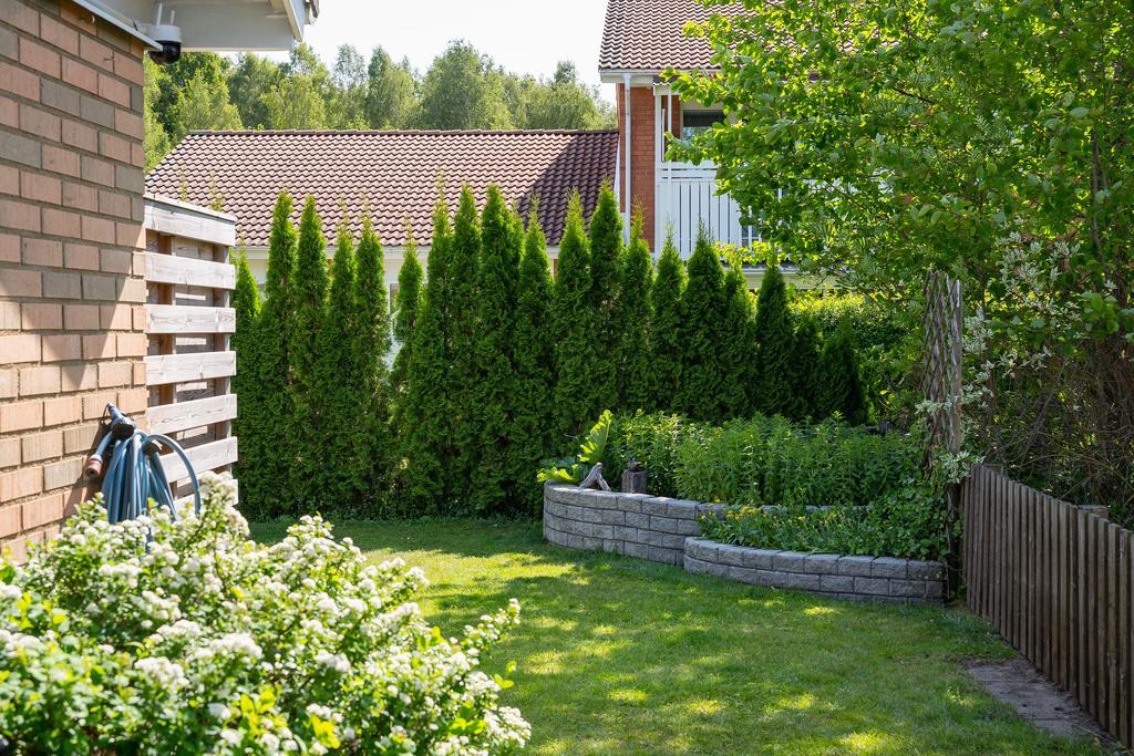 Fin grönska i trädgård