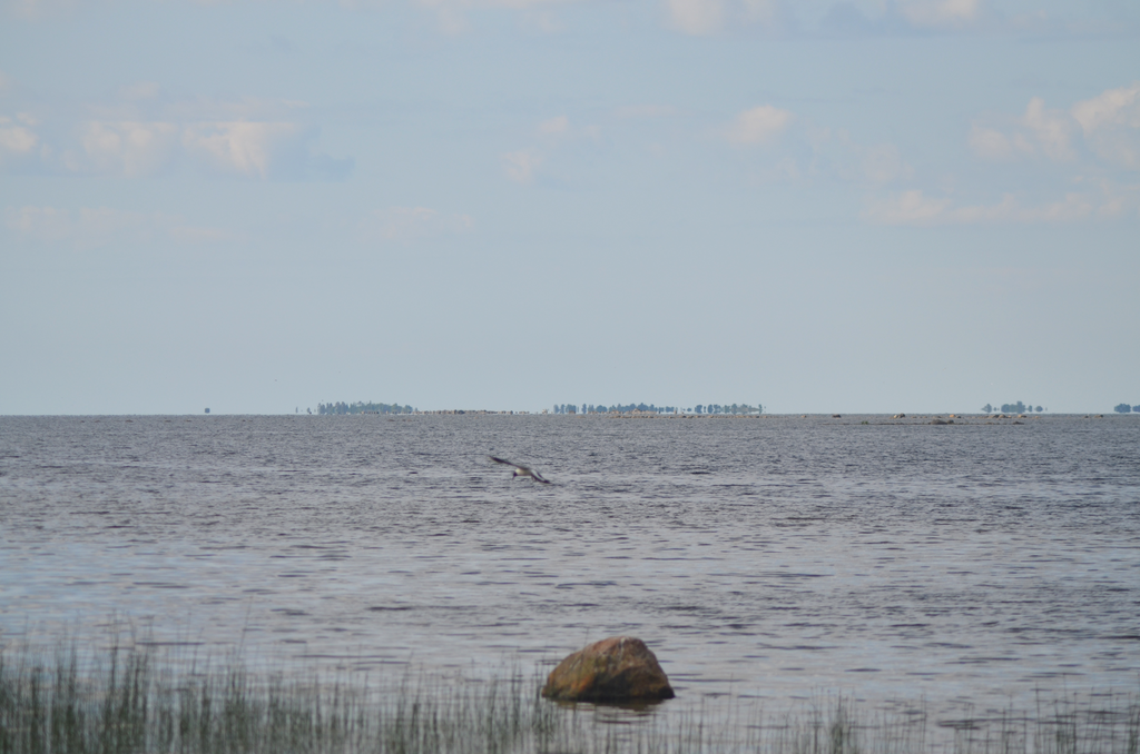 Vy bild vid  strandkanten