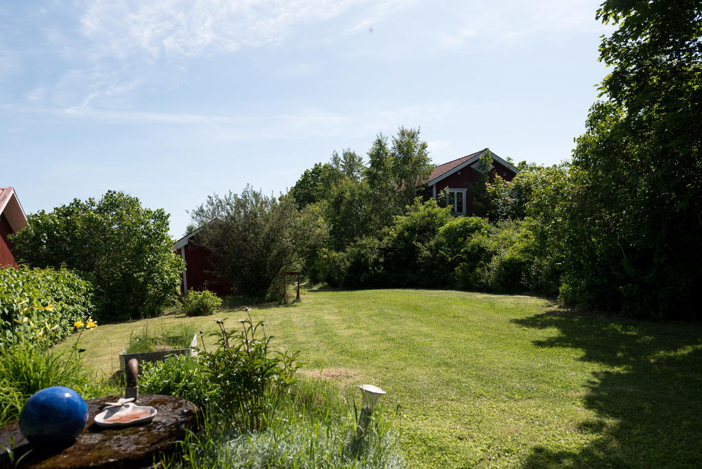 Trädgård. 