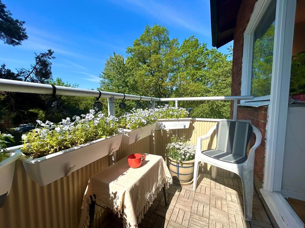 Säljarens egna bilder