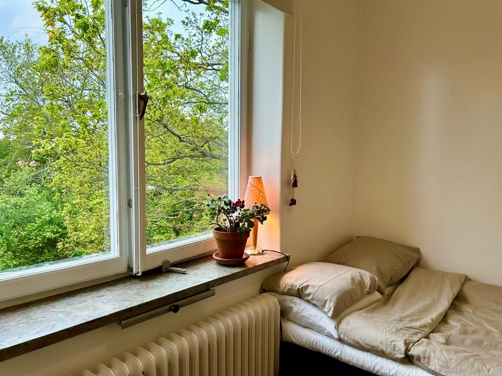 Säljarens egna bilder