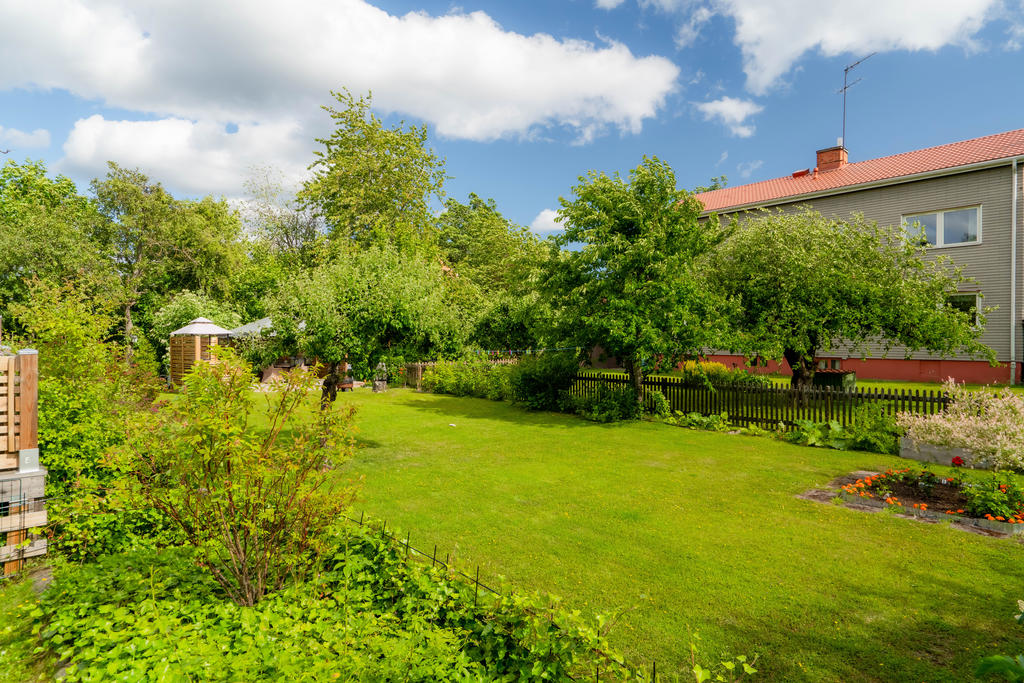 Den fantastiska trädgården i sommarprakt