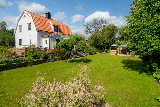 Stor solig trädgård med buskar, träd och planteringar