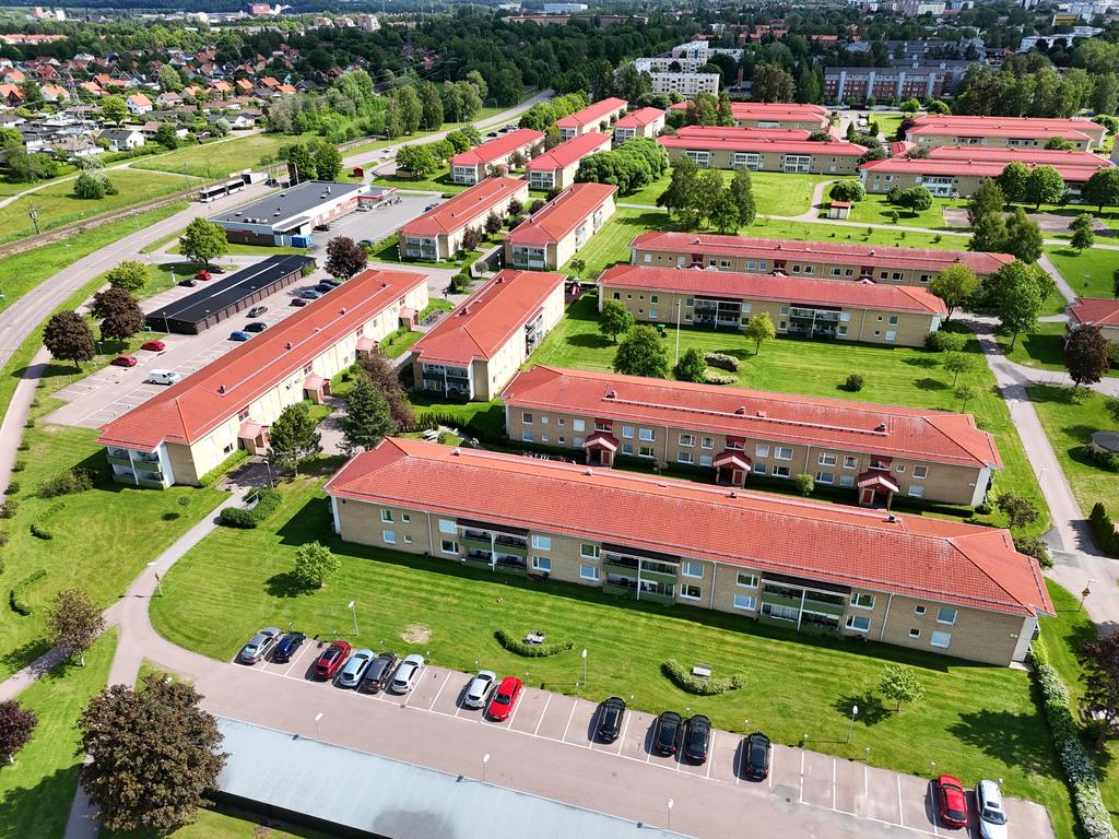 Bullermyren