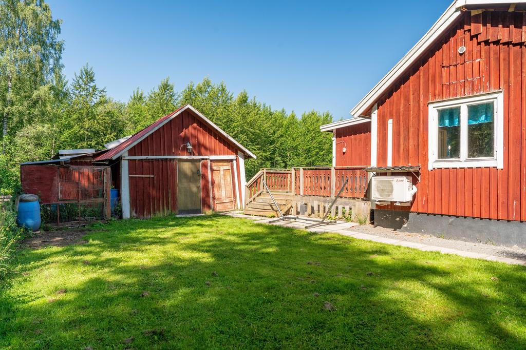 Charmig baksida som vetter mot skogsdunge