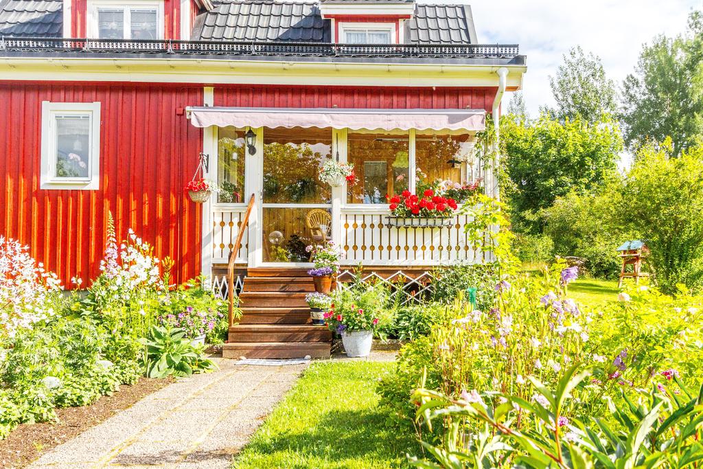 Exteriör