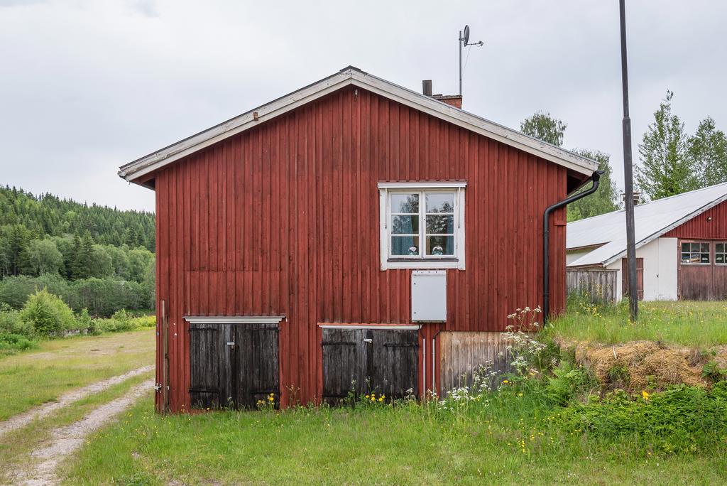 Exteriör