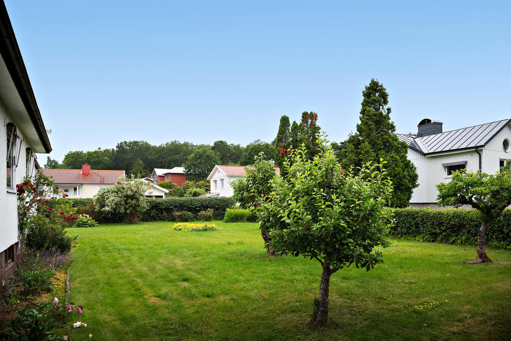 äppleträd, blommor inramad med häck