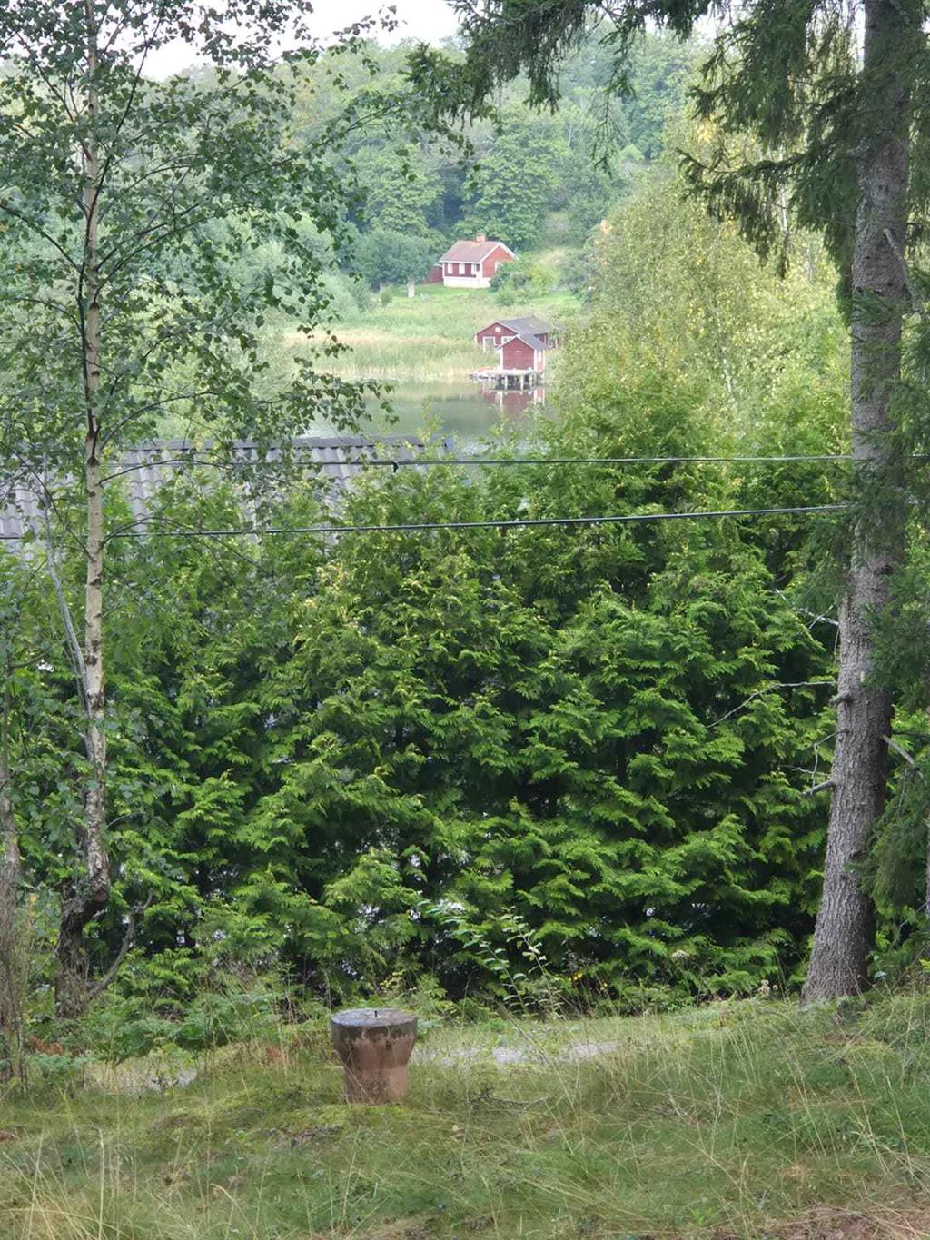 Säljarens bild