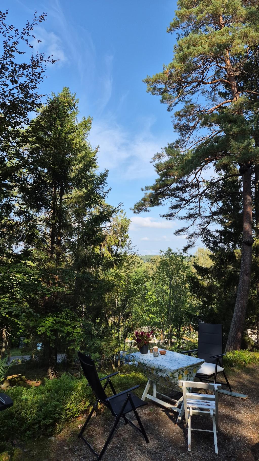 Säljarens bild