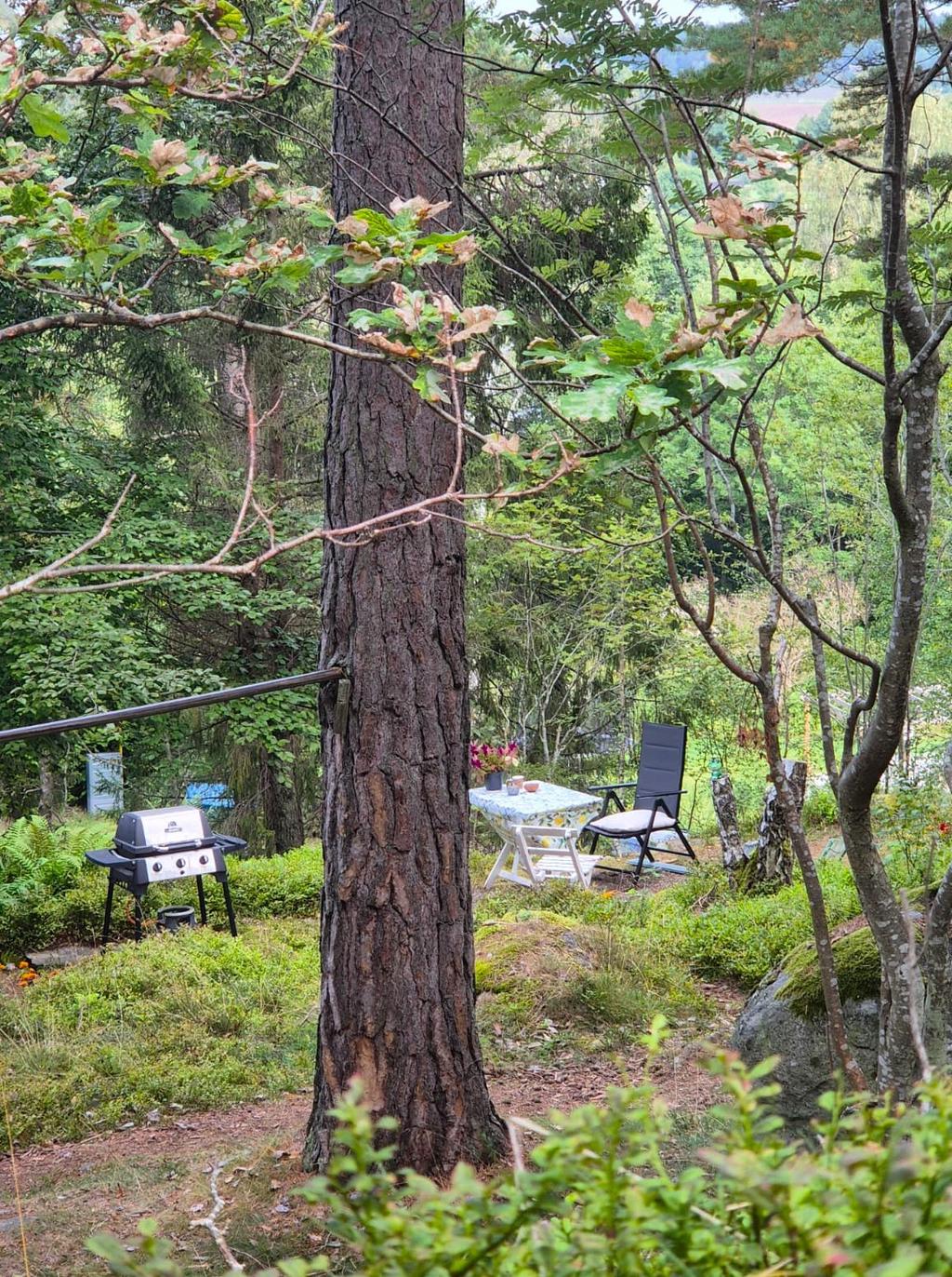 Säljarens bild