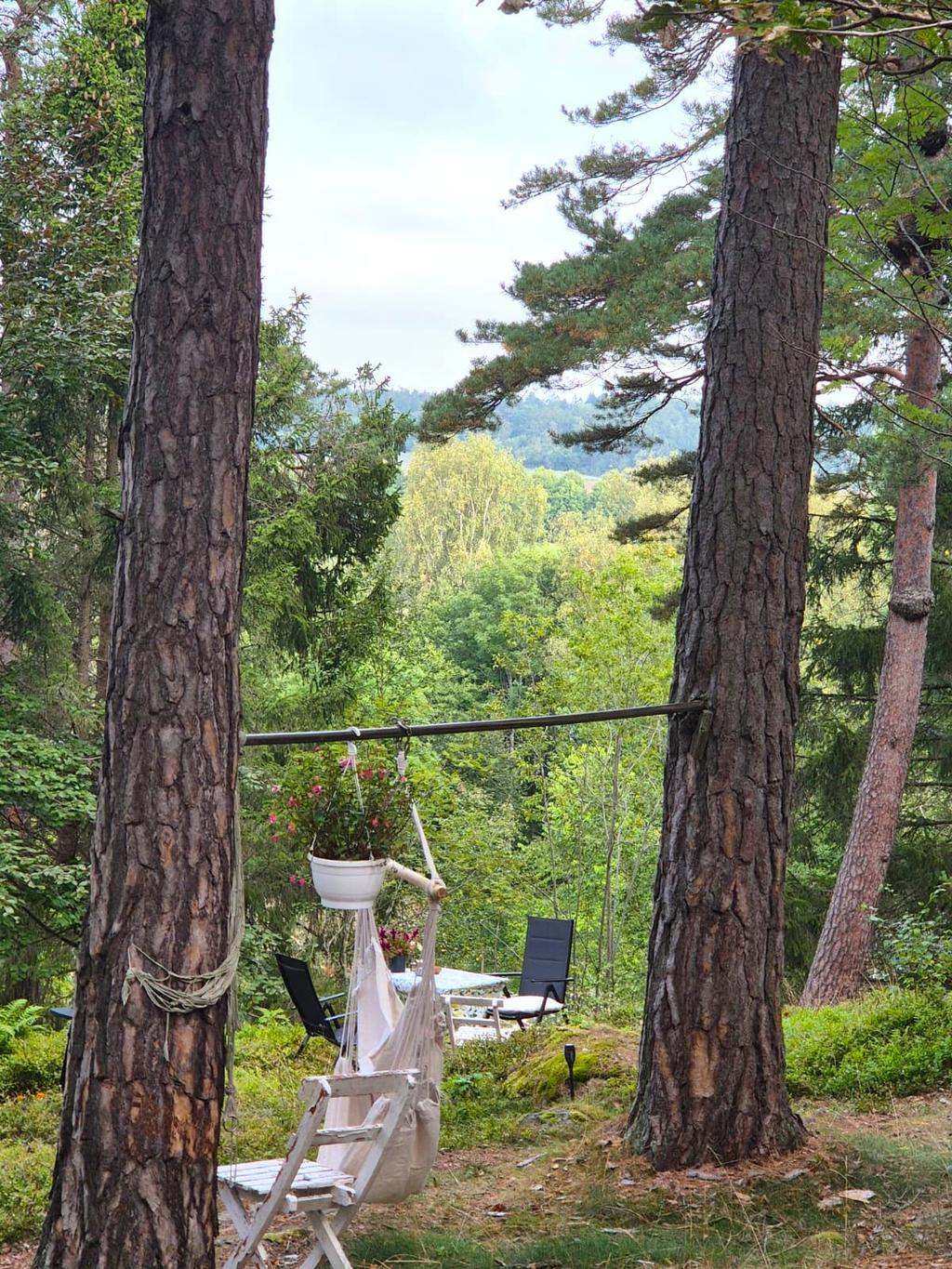Säljarens bild
