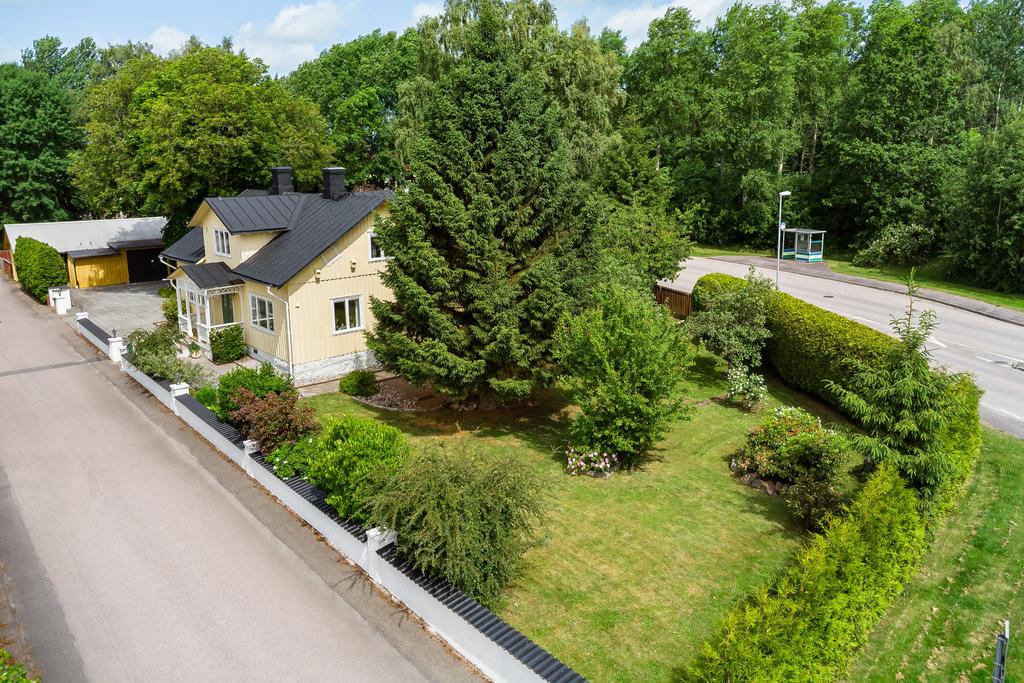 Vacker trädgård med flera fruktträd och annan växlighet