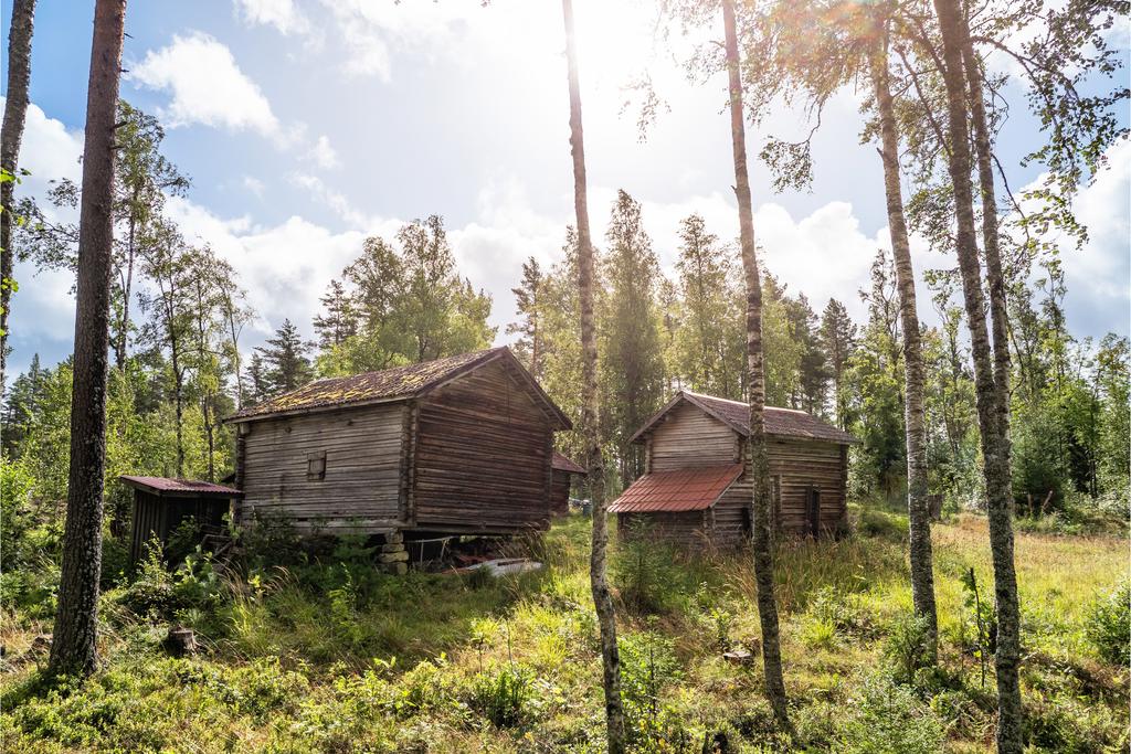 Byggnader omgivna av tallar och grönskande natur, som skapar en stillsam och tidlös atmosfär.