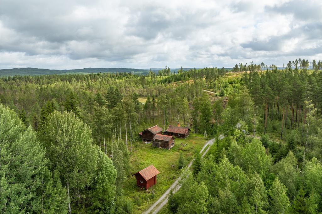 Fäbod idylliskt belägen mitt i den gröna skogen.