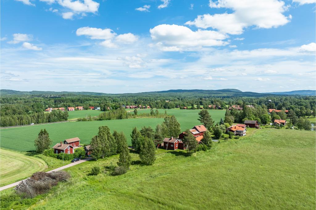 Gröntuv i sommarskrud