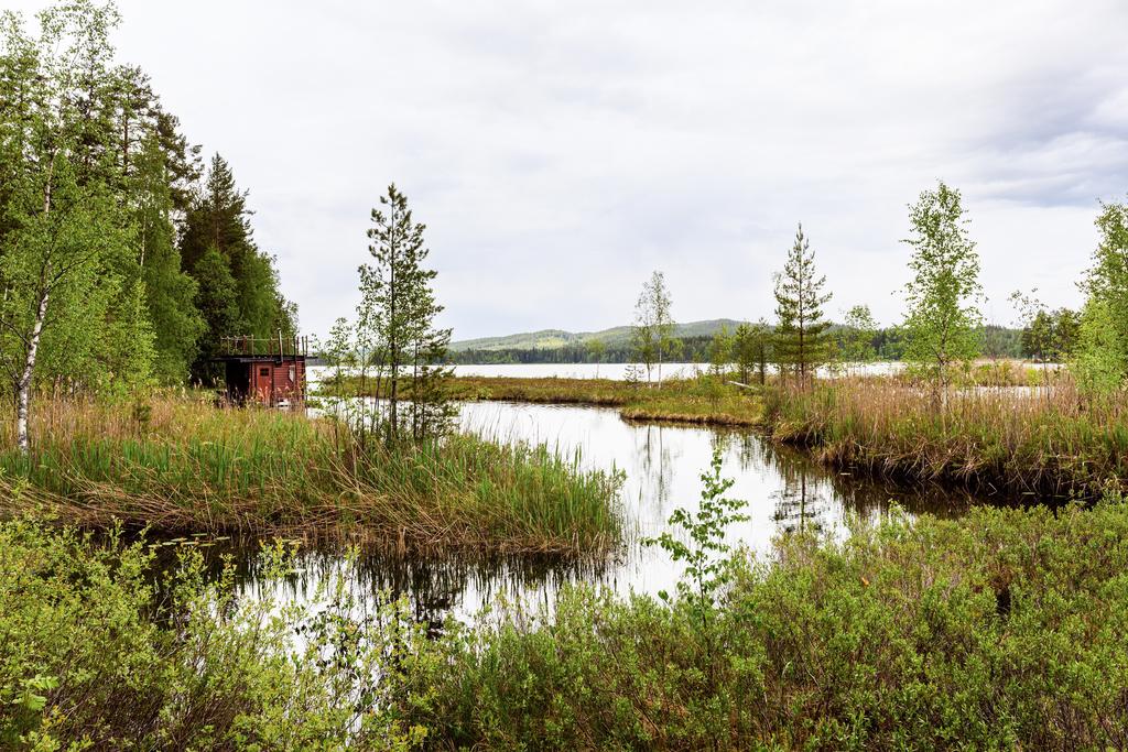 Skarviksvägen 26