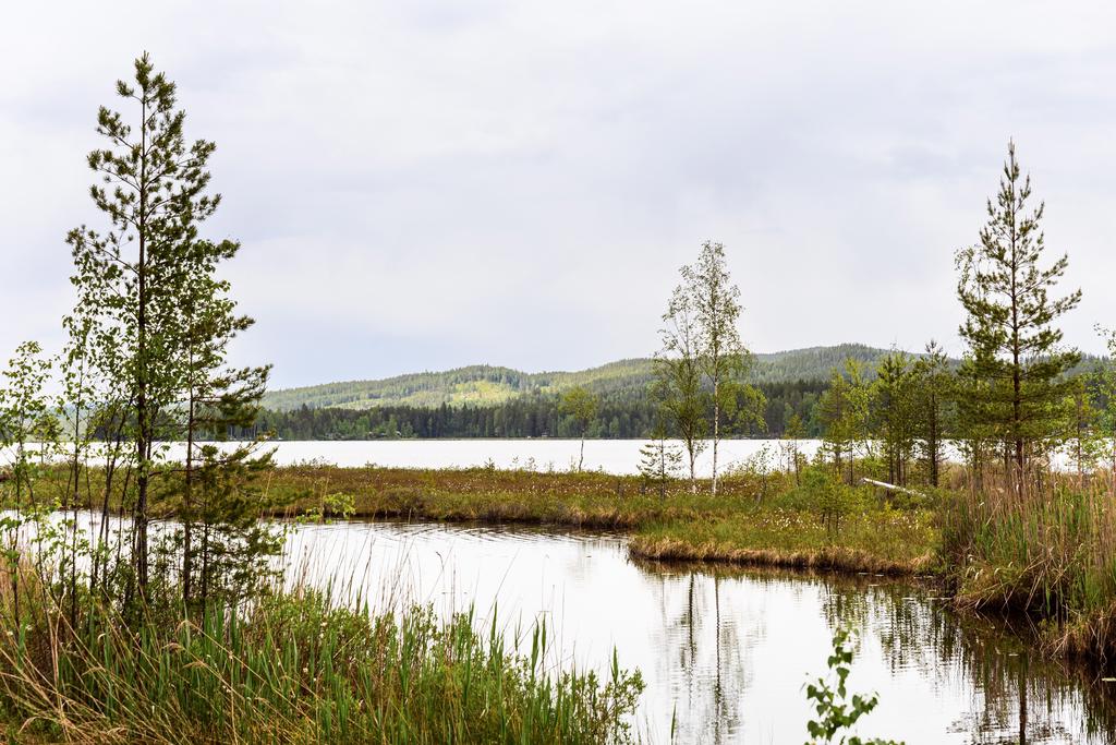 Skarviksvägen 26