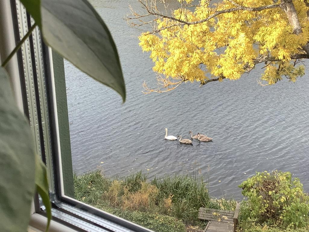 Säljarnas egna bild från fönster.
